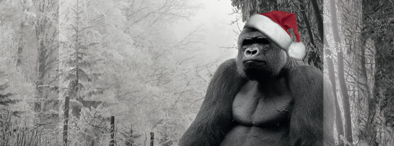 The Visit, die Motive